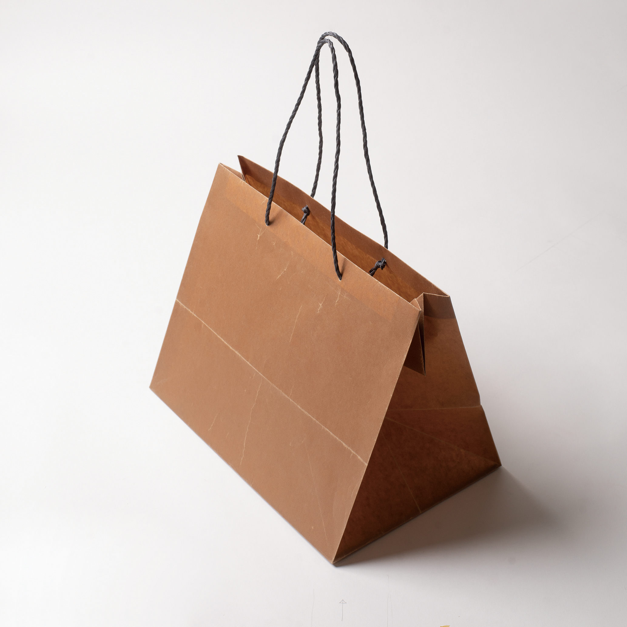 HOSHINO ONLINE SHOP / ☆ 予約受注☆ワックスバッグ L （100枚）