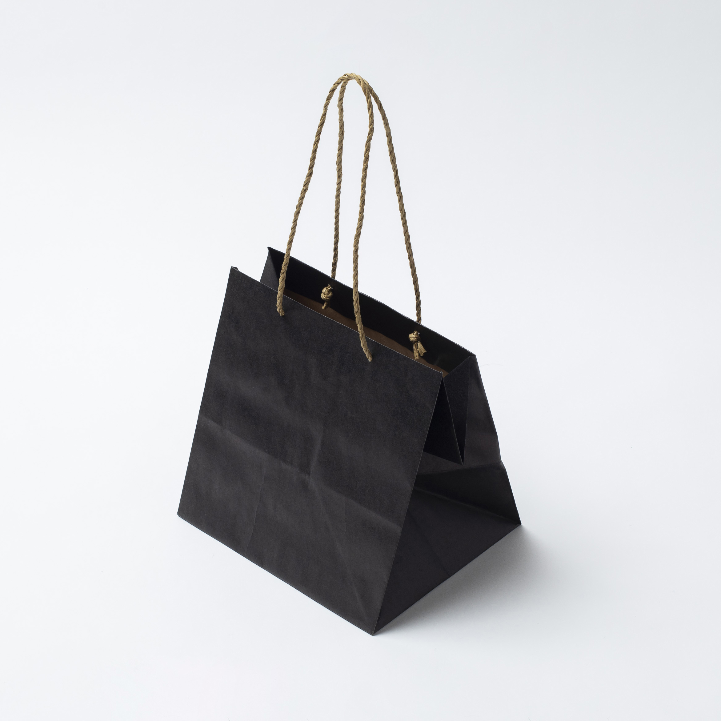 HOSHINO ONLINE SHOP / キャリーバッグ ZB-M（100枚）