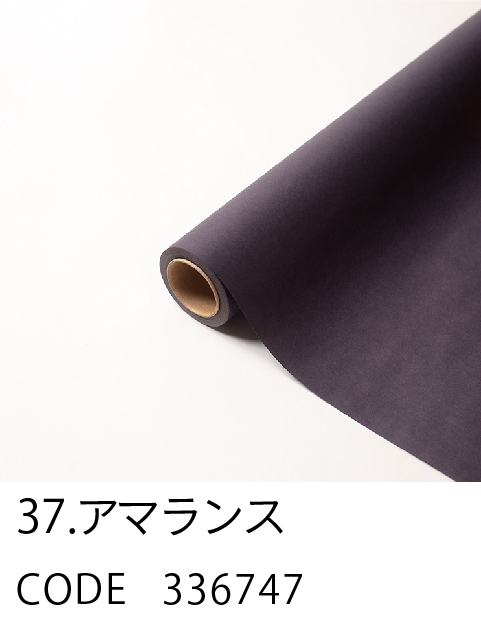 PARIS-パリ-('08仏) color_37.jpg