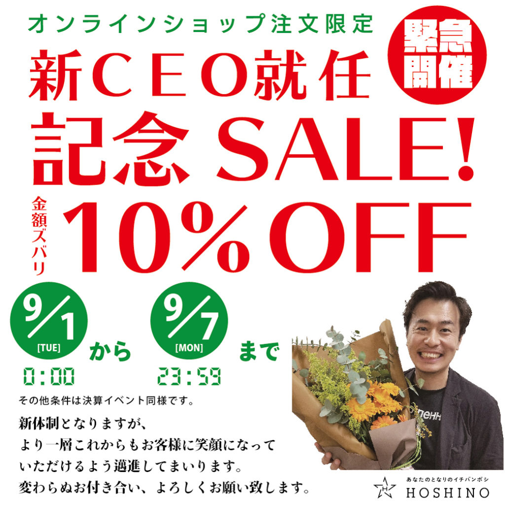 ペガサス星野くん 　タイムセール 10/15 役員改定に伴う、新CEO就任記念SALEのお知らせ | 星野株式会社